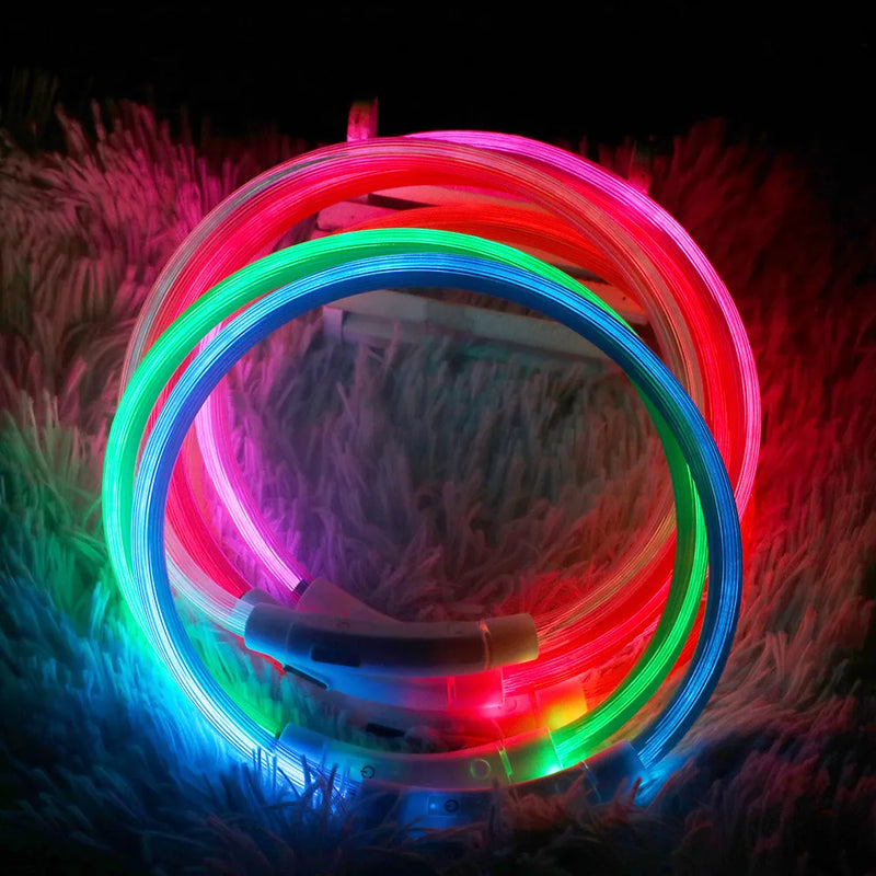 Light Up Rechargeable Dog Collar