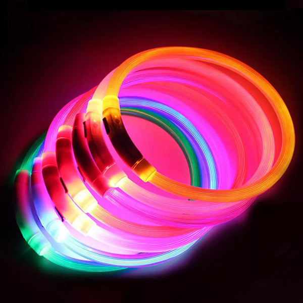 Light Up Rechargeable Dog Collar