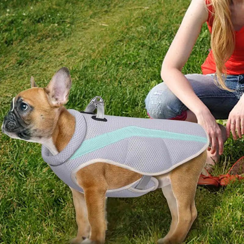 Cooling Dog Vest