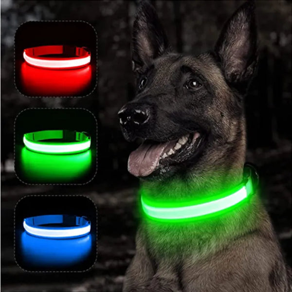 LED Light up Dog Collar