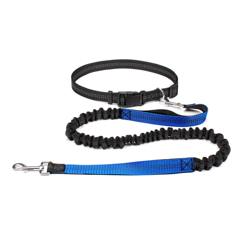 Handsfree Waistbelt Dog Lead