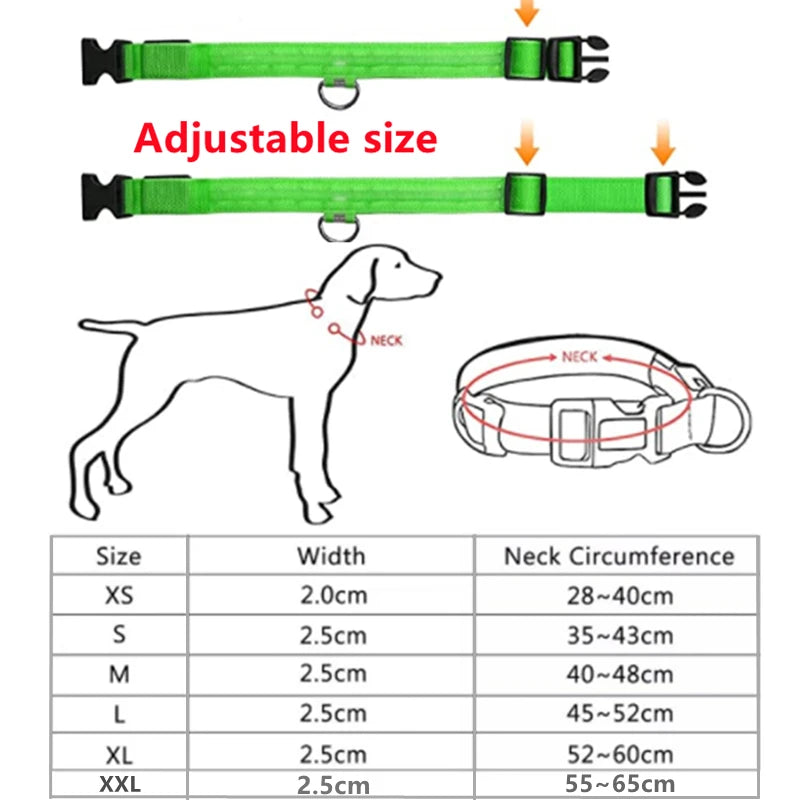 LED Light up Dog Collar