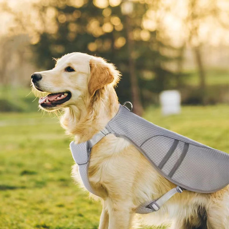 Dog Cooling Harness