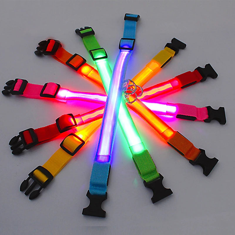 LED Light up Dog Collar