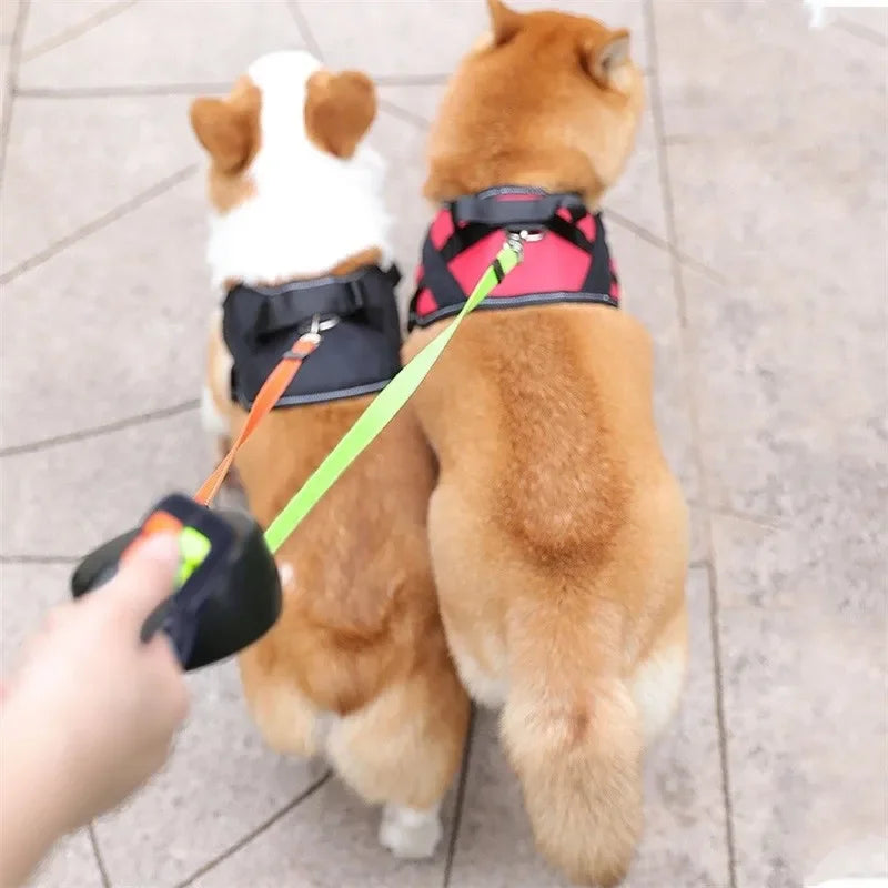 Dual Dog Lead with Torch