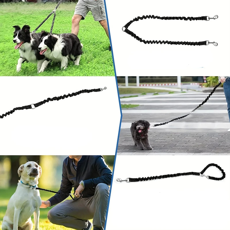 Double Dog Lead Extender