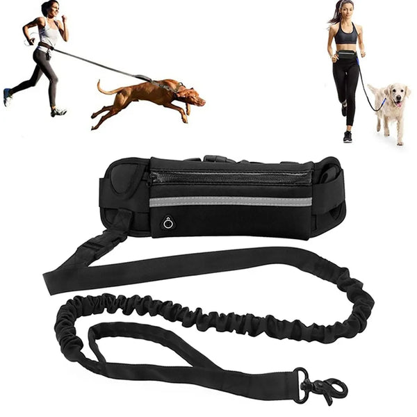 Hands Free Dog Lead Waistbelt