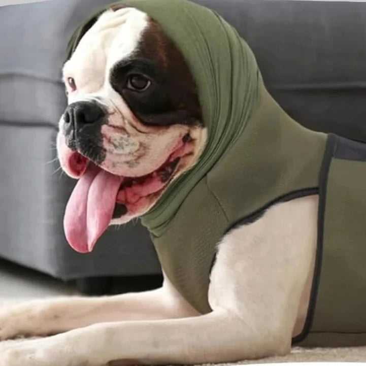 Dog Anxiety Vest