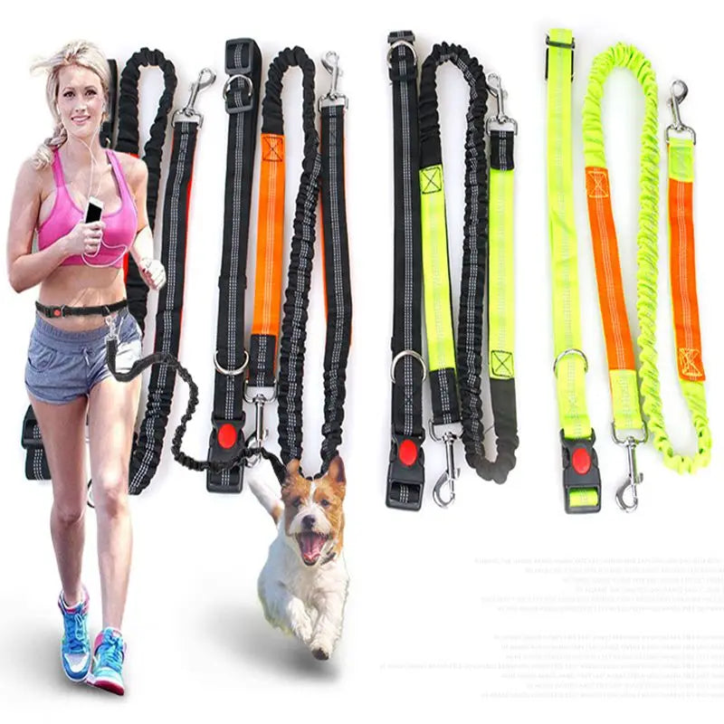 Handsfree Waistbelt Dog Lead