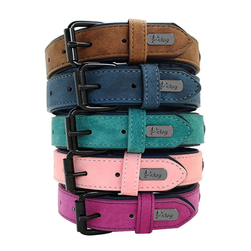 Leather Padded Dog Collar