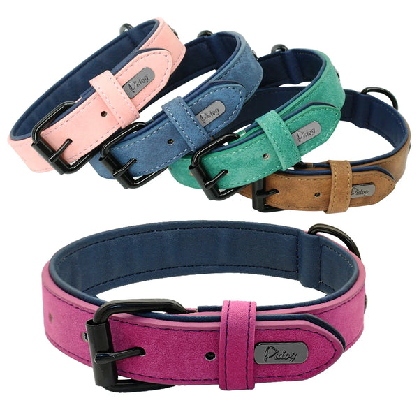 Leather Padded Dog Collar