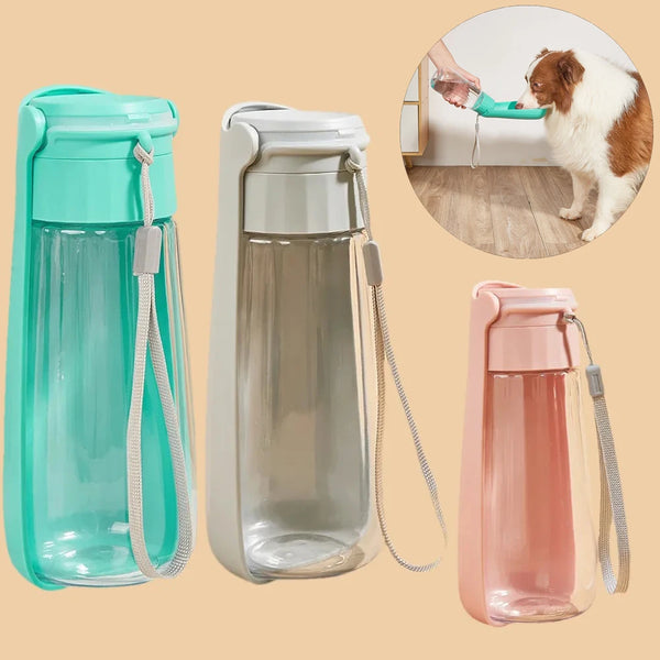 Dog Water Bottle