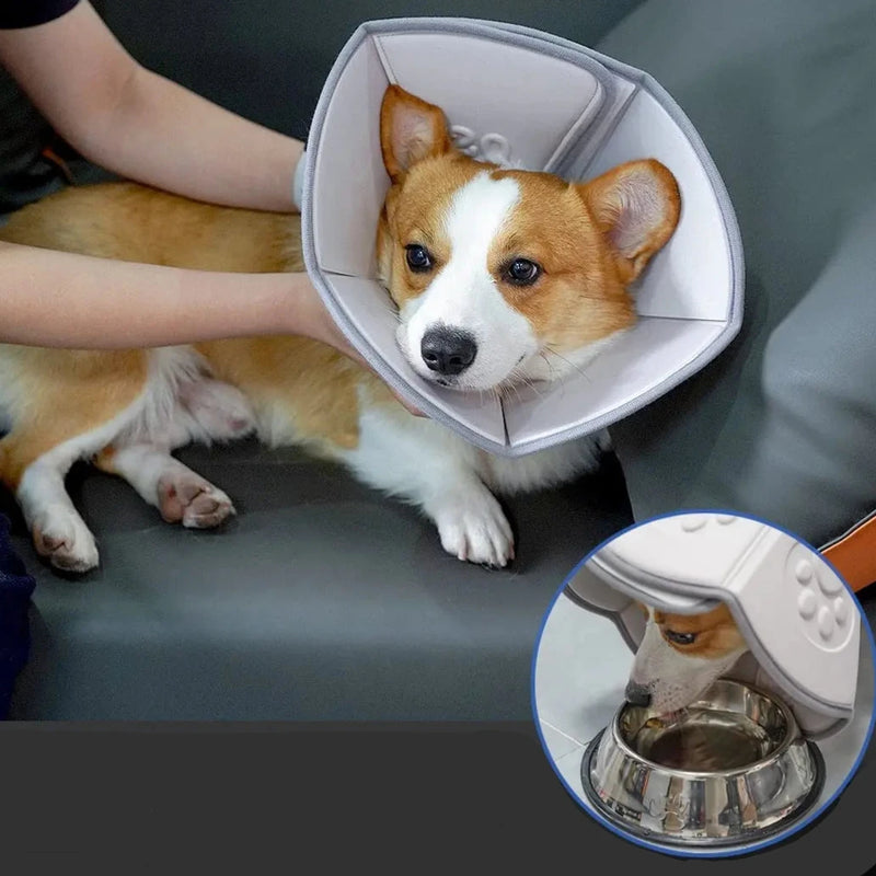 Dog Collar Cone