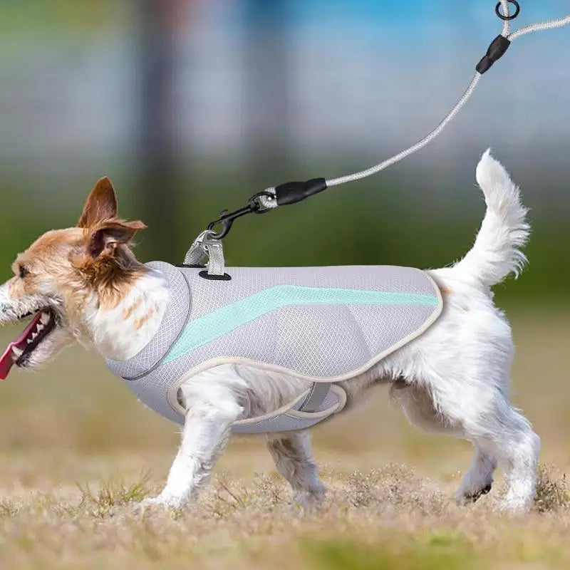 Cooling Dog Vest