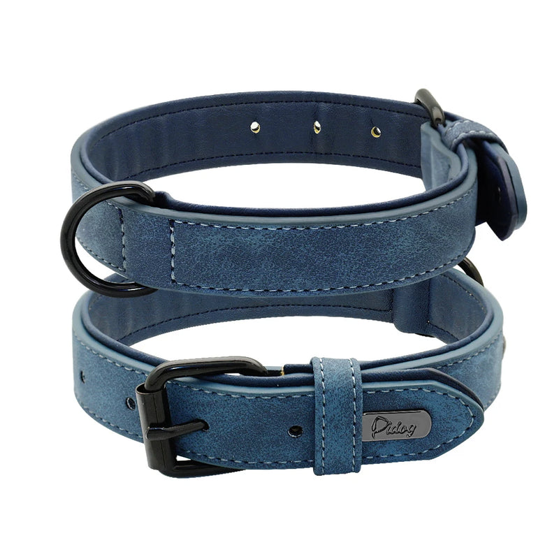 Leather Padded Dog Collar