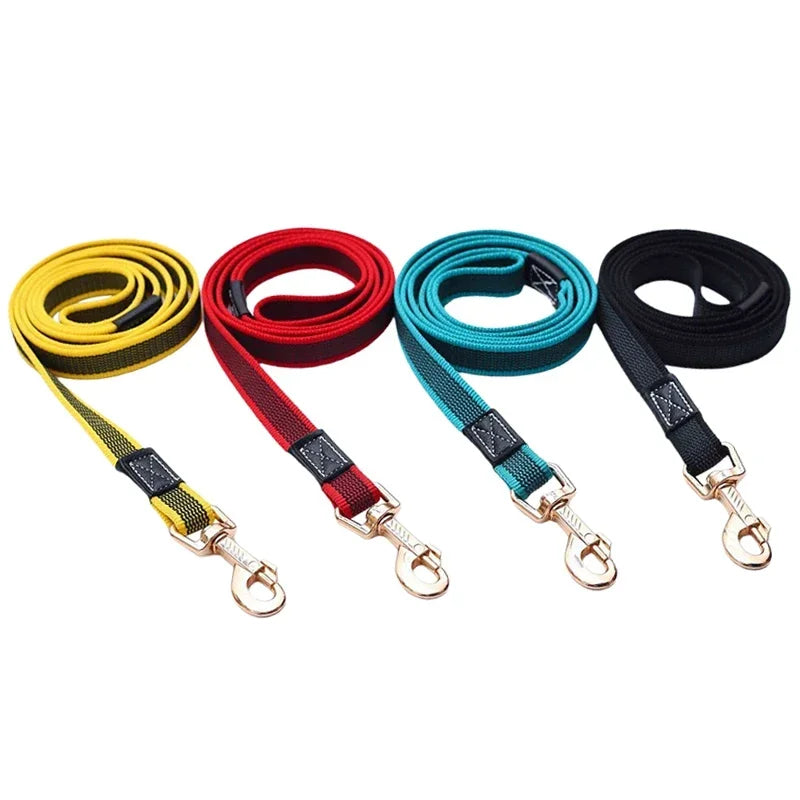 Colourful Dog Lead