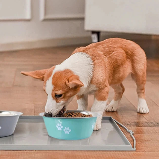 Non-slip Dog Bowls