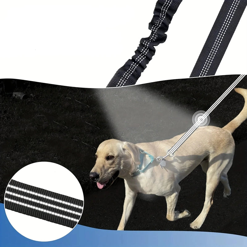 Double Dog Lead Extender