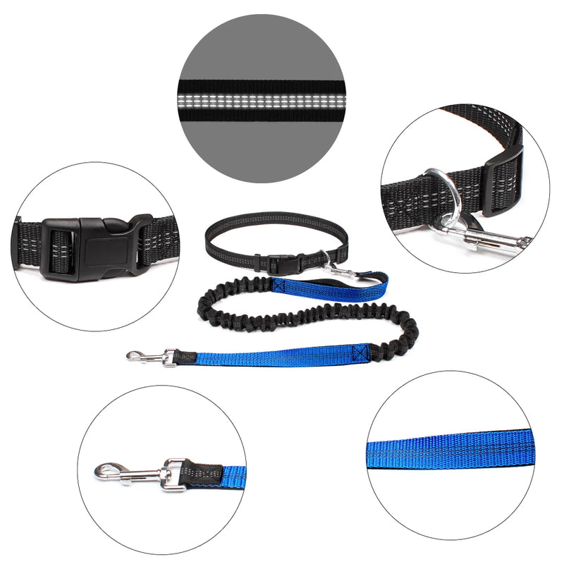 Handsfree Waistbelt Dog Lead