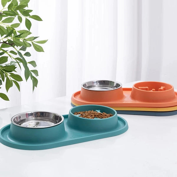 Dual Dog Bowl with Slow Feeder