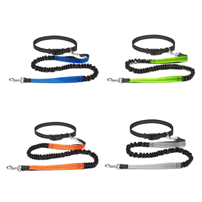 Handsfree Waistbelt Dog Lead