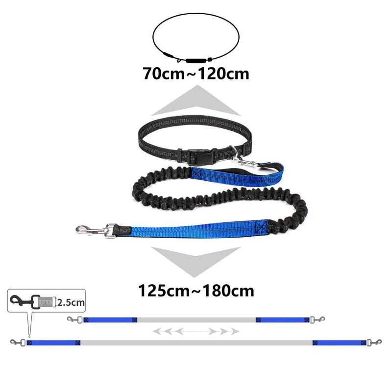 Handsfree Waistbelt Dog Lead