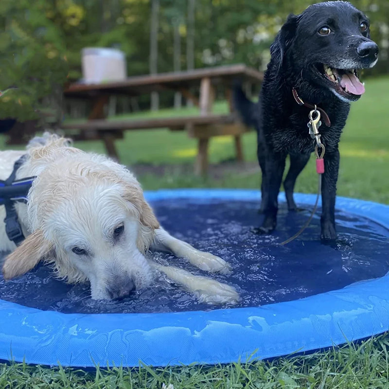 Dog Water Splash Pad