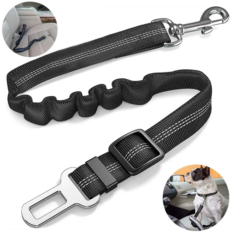 Bungee Dog Seat Belt