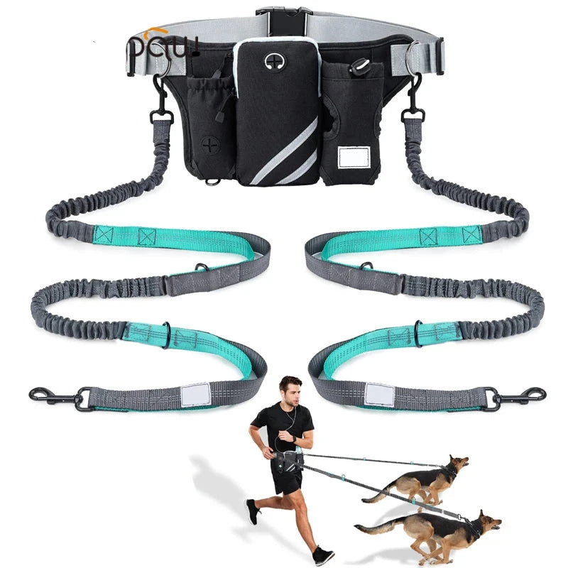 Hands free bungee double dog lead with waist belt