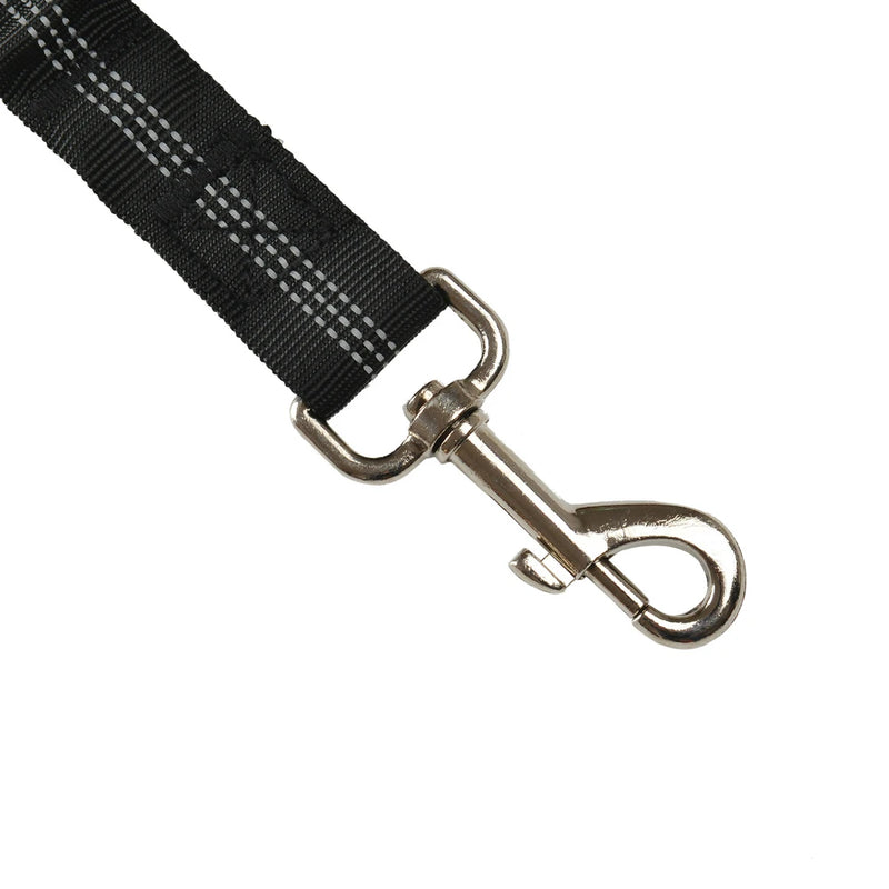 Bungee Dog Seat Belt