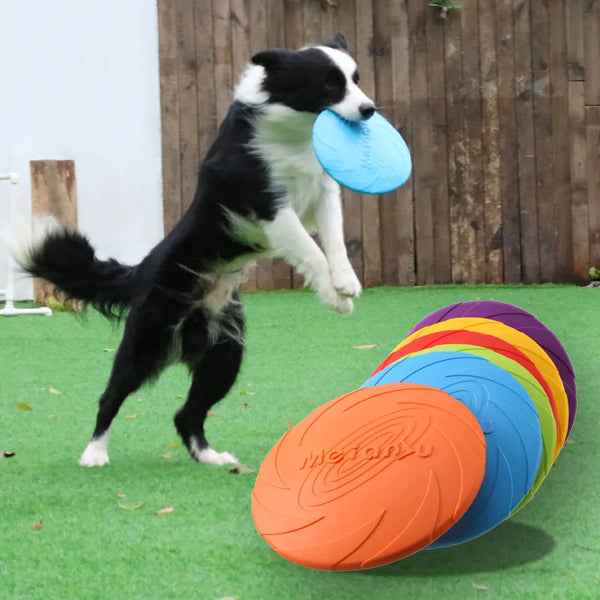 Rubber Dog Frisbee