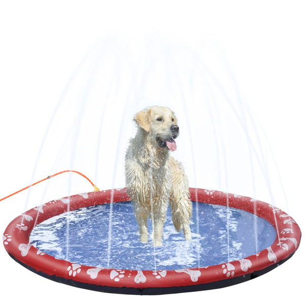 Dog Splash Pad