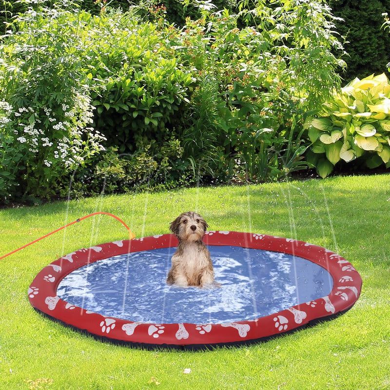 Dog Splash Pad